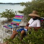 Relaxing in The Mangroves