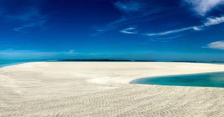 Keys Sandbar Sightseeing