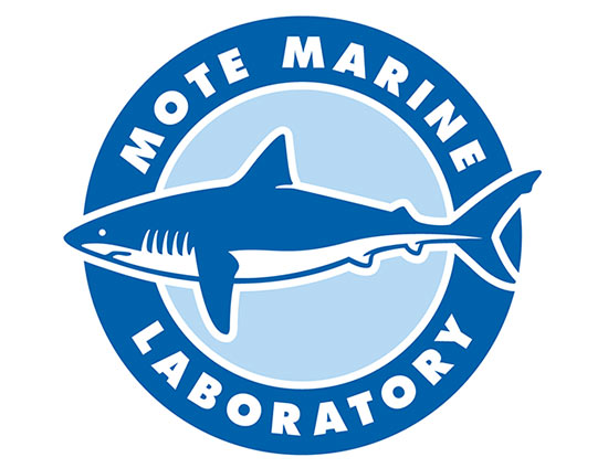 Mote Marine