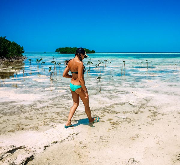 Exploring The Sugarloaf Key Backcountry 